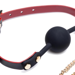 Black and Red Bow Bondage Set with Carry Case
