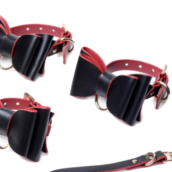 Black and Red Bow Bondage Set with Carry Case