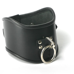 Strict Leather Locking Posture Collar