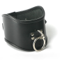Strict Leather Locking Posture Collar