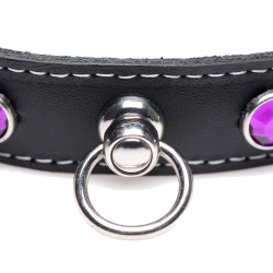Royal Vixen Leather Choker with Rhinestones - Purple