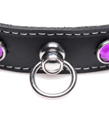 Royal Vixen Leather Choker with Rhinestones - Purple