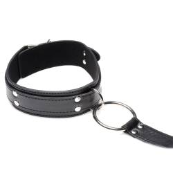 Neck to Wrist Restraints