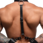 Neck to Wrist Restraints