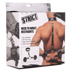 Neck to Wrist Restraints