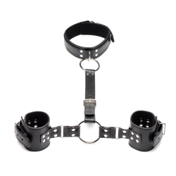 Neck to Wrist Restraints