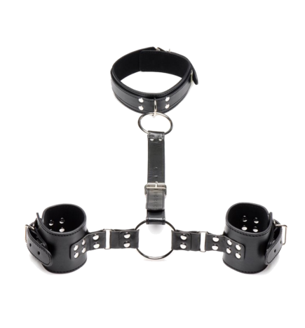 Neck to Wrist Restraints