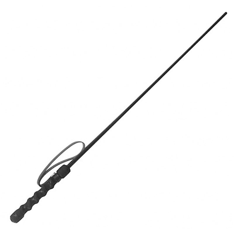 Intense Impact Cane Intense Impact Cane