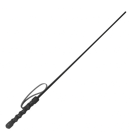 Intense Impact Cane