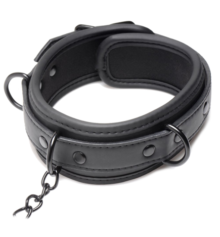Collared Temptress Collar with Nipple Clamps