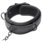 Collared Temptress Collar with Nipple Clamps