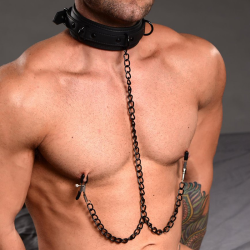 Collared Temptress Collar with Nipple Clamps