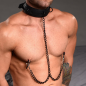 Collared Temptress Collar with Nipple Clamps