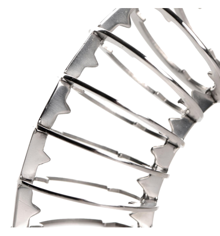Stainless Steel Spiked Chastity Cage