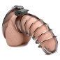 Stainless Steel Spiked Chastity Cage