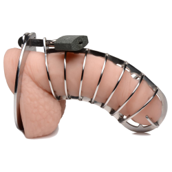 Stainless Steel Spiked Chastity Cage