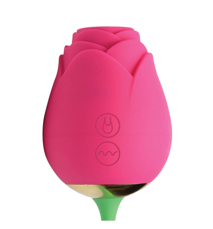 Bloomgasm Rose Duet Sucking Rose and Vibrating Rosette
