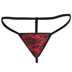 Scarlet Seduction Lace-up Corset and Thong