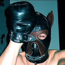 Fetter's Padded Fist Mitts