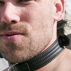 Mr. S Puppy Collar