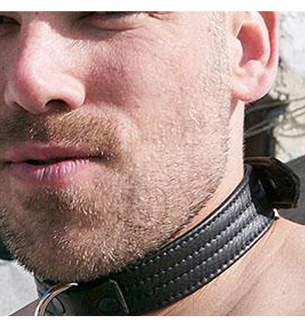Mr. S Puppy Collar