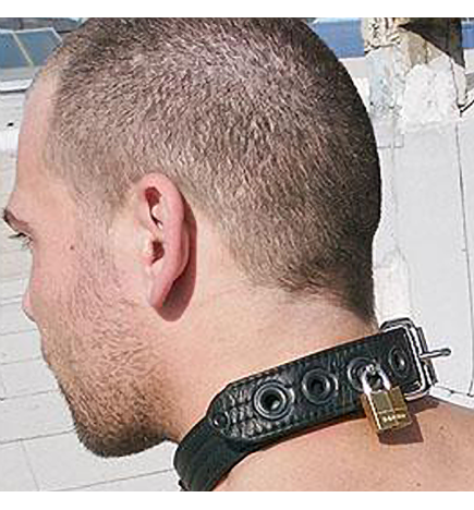 Mr. S Puppy Collar
