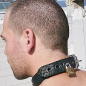 Mr. S Puppy Collar