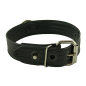 Mr. S Puppy Collar