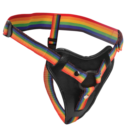 Rainbow Strap On Harness with Silicone O-Rings