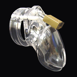 CB-6000S Chastity Device