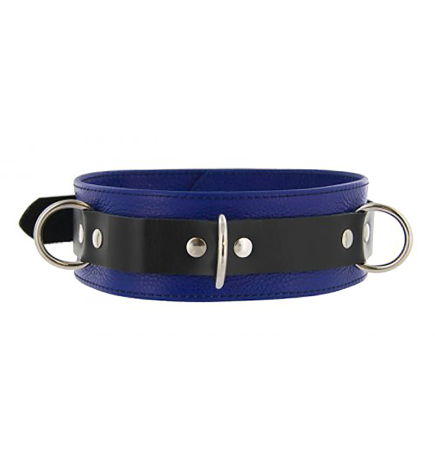 Strict Leather  Deluxe Locking Collar - Blue & Black