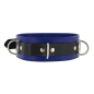Strict Leather  Deluxe Locking Collar - Blue & Black