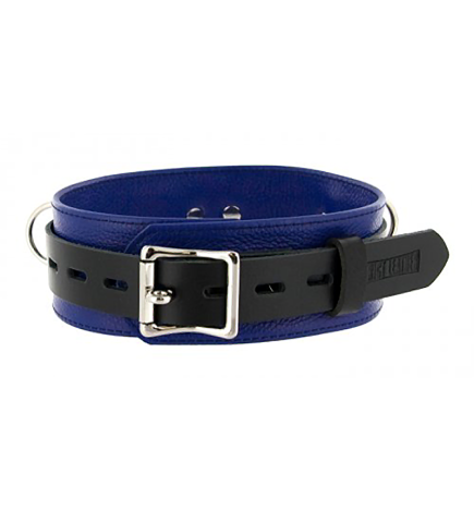 Strict Leather  Deluxe Locking Collar - Blue & Black