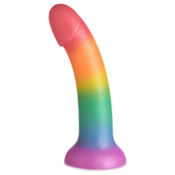 Phallic Rainbow Silicone Dildo