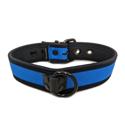 Mr. S Neo Bold Color Puppy Collar - Cobalt