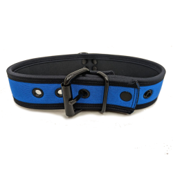 Mr. S Neo Bold Color Puppy Collar - Cobalt