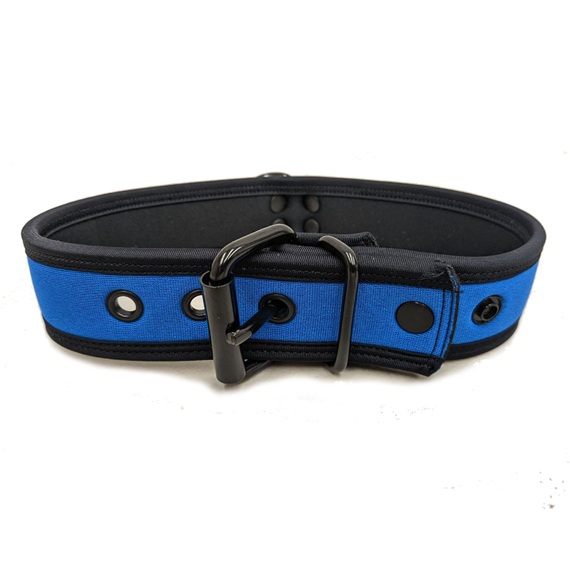 Mr. S Neo Bold Color Puppy Collar - Cobalt Mr. S Neo Bold Color Puppy Collar - Cobalt