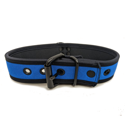 Mr. S Neo Bold Color Puppy Collar - Cobalt
