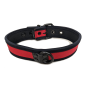 Mr. S Neo Bold Color Puppy Collar - Red