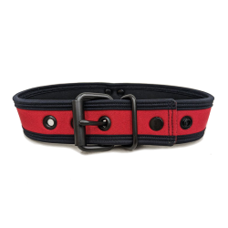 Mr. S Neo Bold Color Puppy Collar - Red