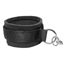 Bedroom Restraint Kit