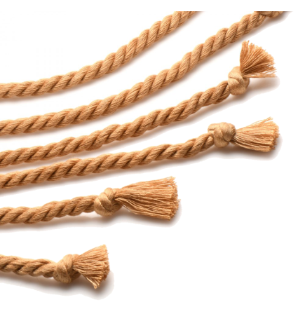 Swashbuckler Rope Flogger