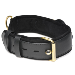Tracer Tracking Collar