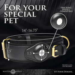 Tracer Tracking Collar