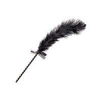Feathers