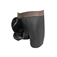 Sheath Shorts