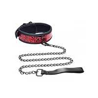 Collar/Leash Combo