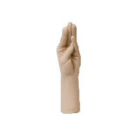 Fisting
