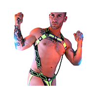 Chest Harnesses